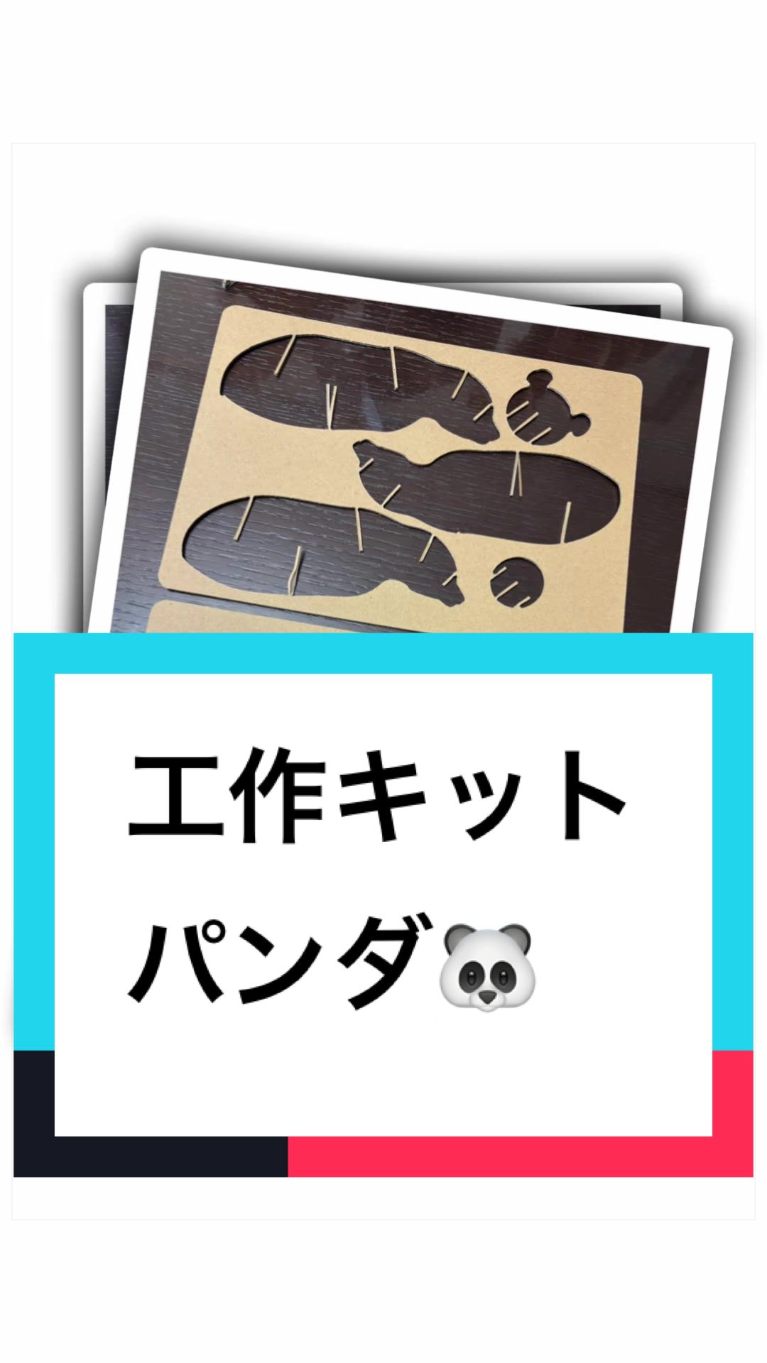 @ダンボール王子🌏♾️🐦&zwj;🔥