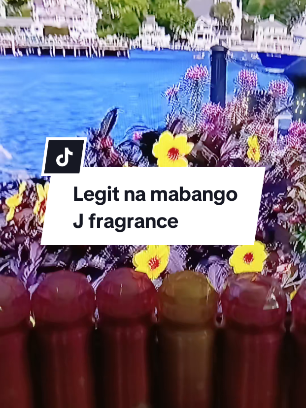 @inday alicia