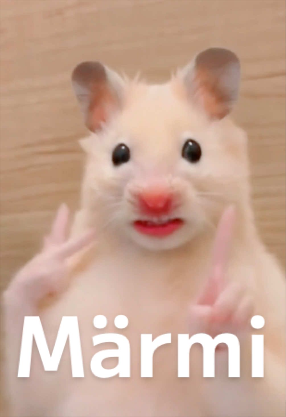 @FCham