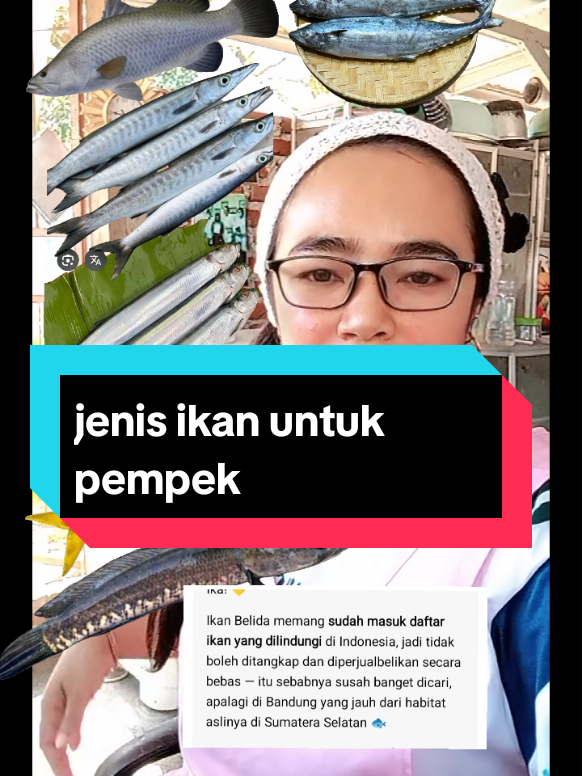 @ikca_mangurai