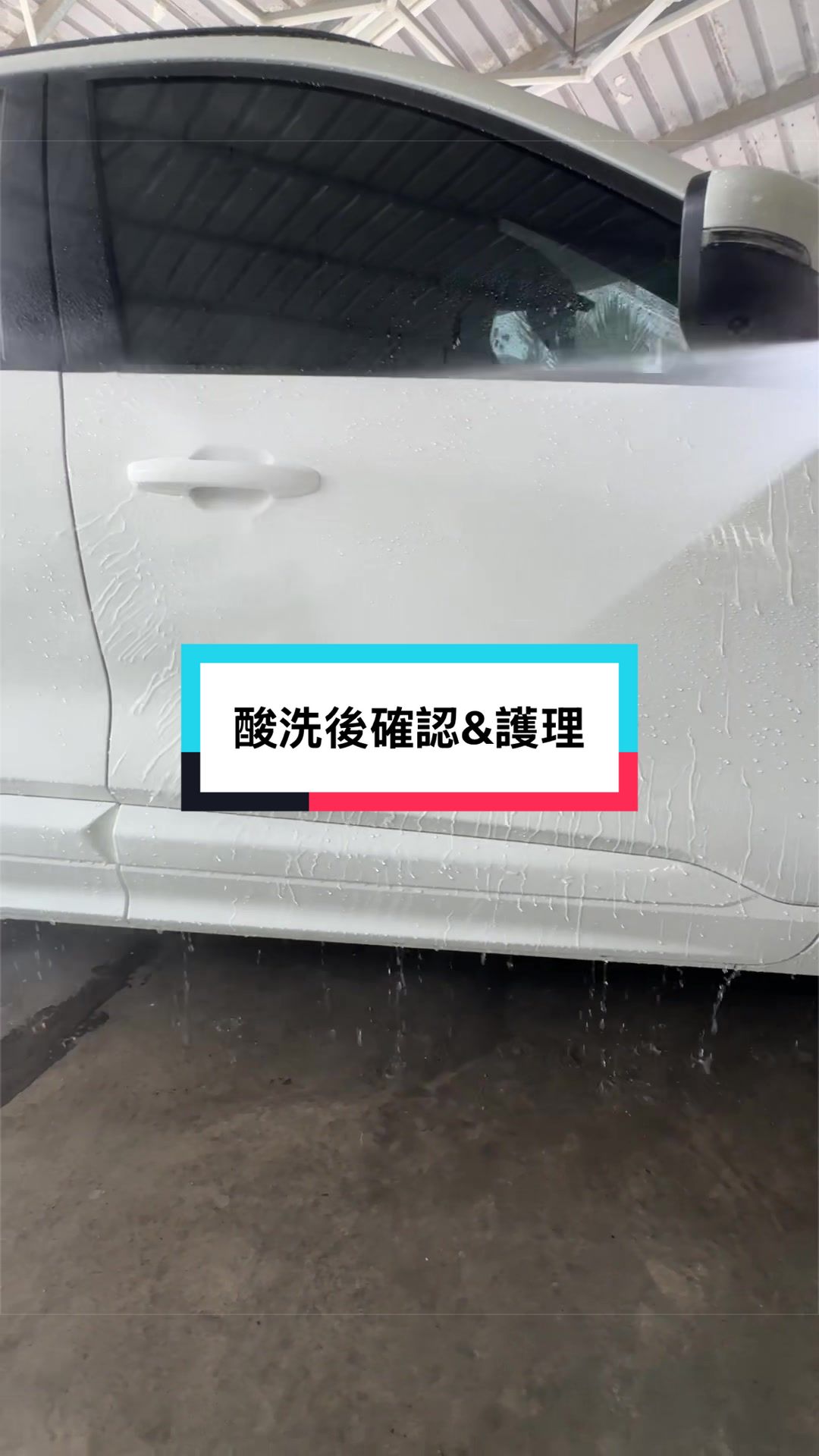 @邦尼洗車