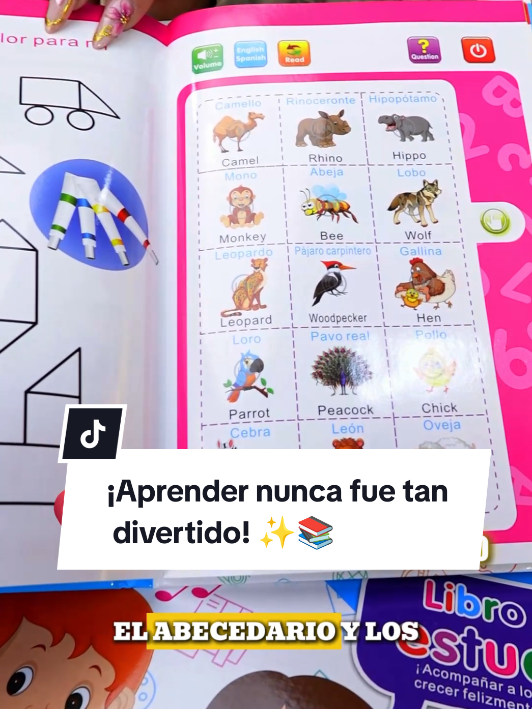 @Importadora cyc