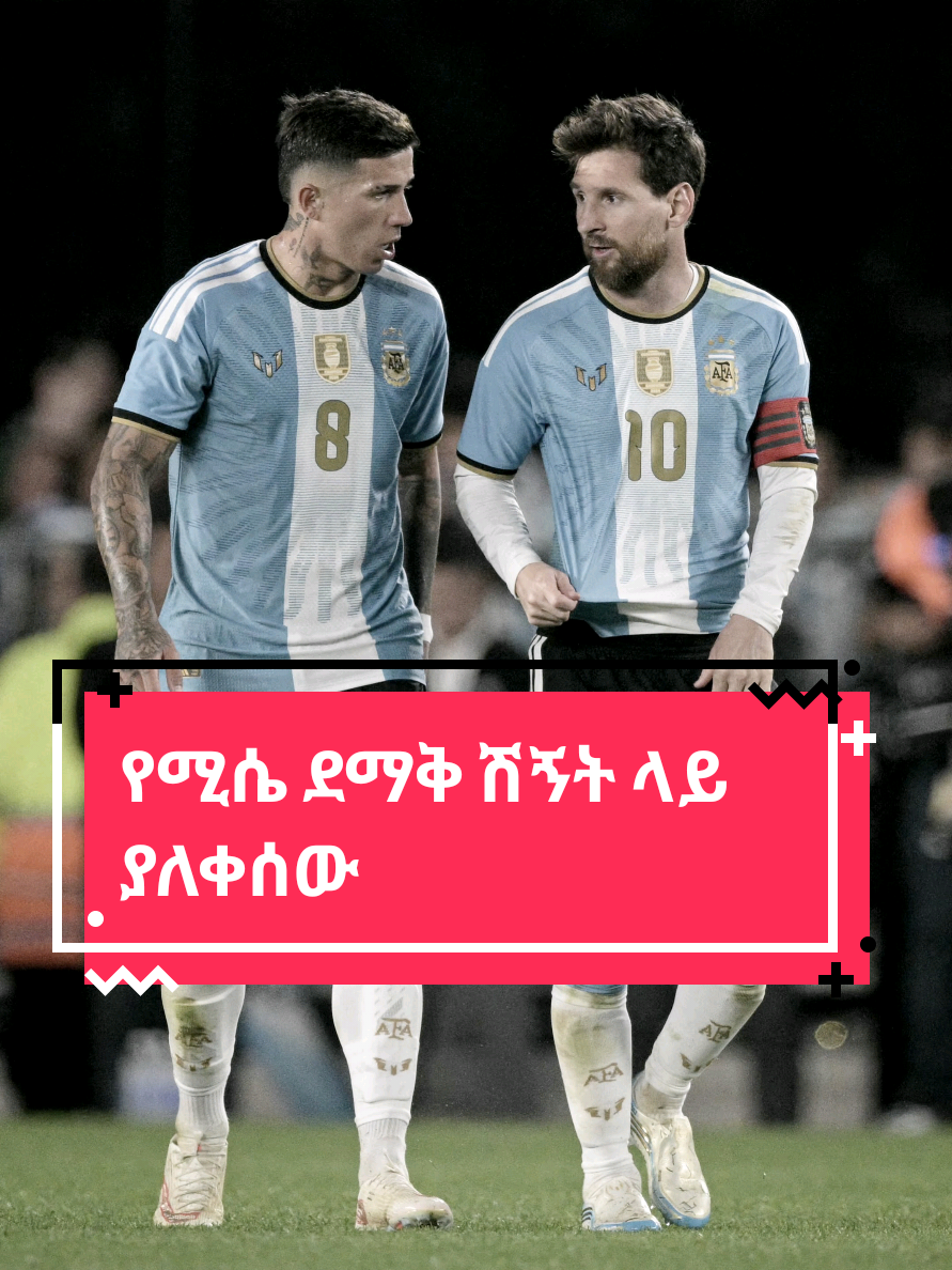 @Sham Sport