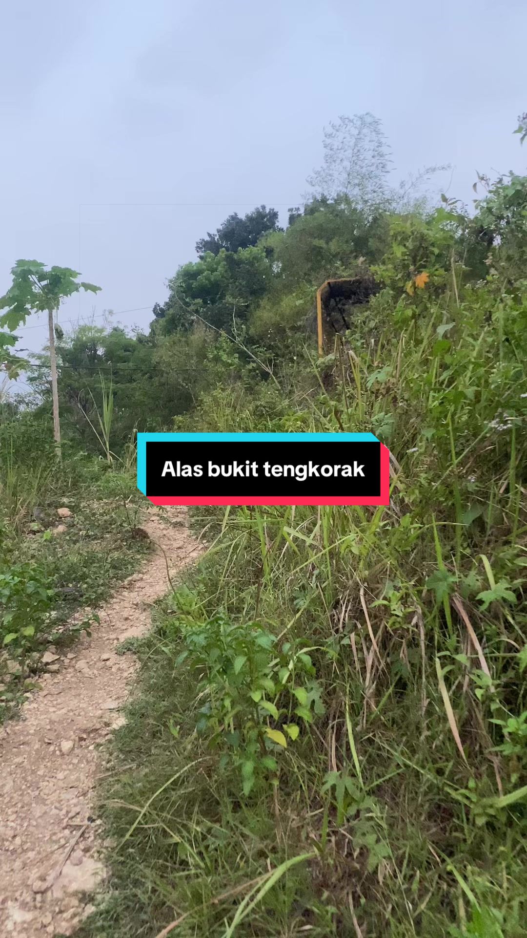 @AKAR MISTERI