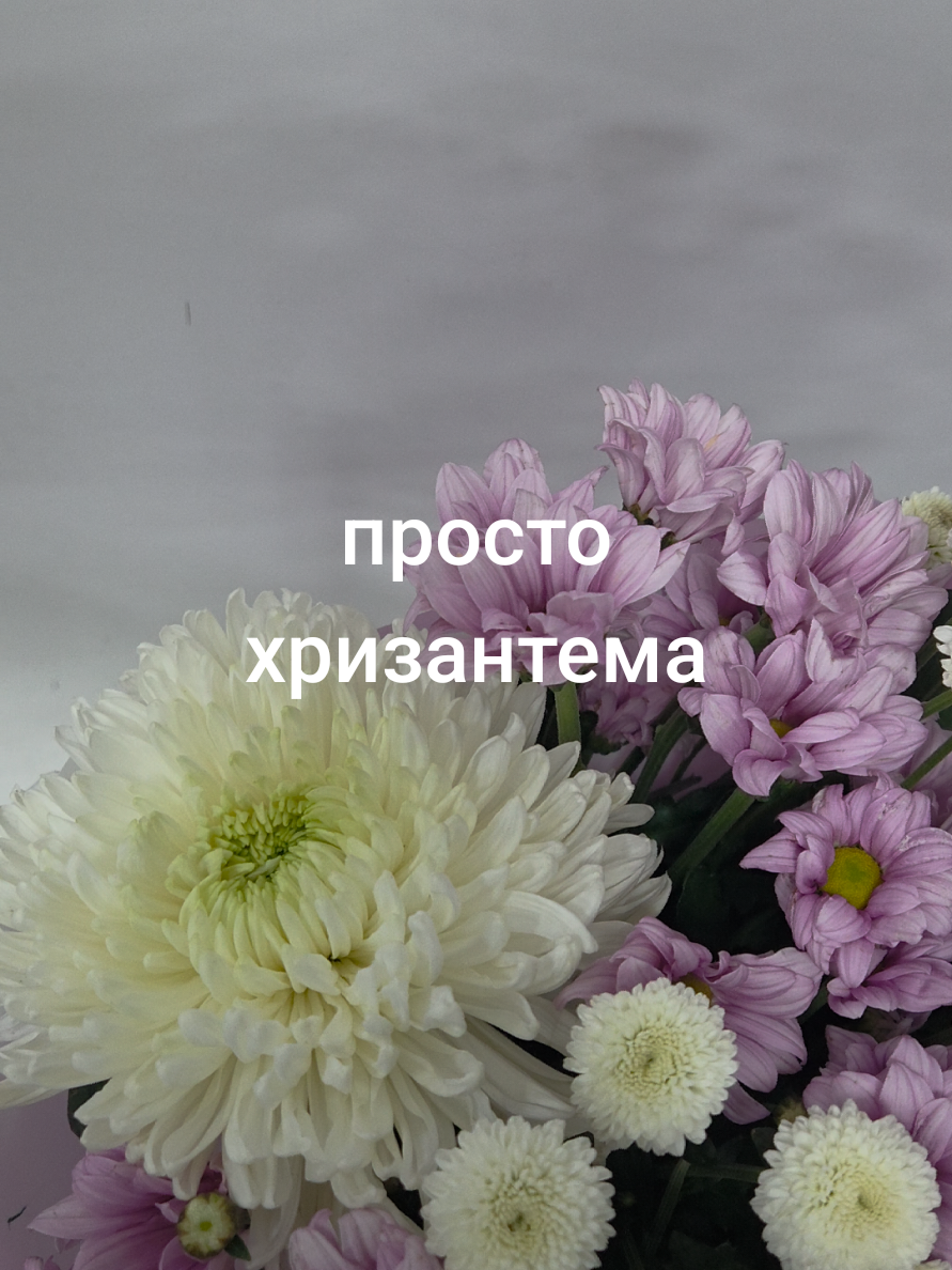 @Снежана