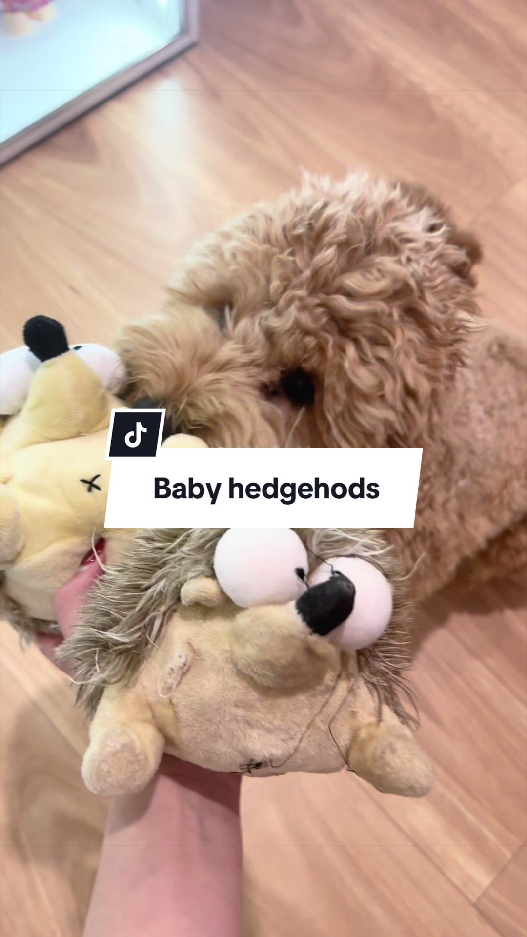 @Narlee&rsquo;s Funsies🧸