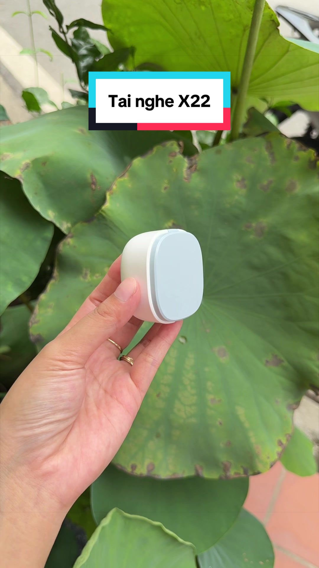 @Tuấn B&igrave;nh Thường