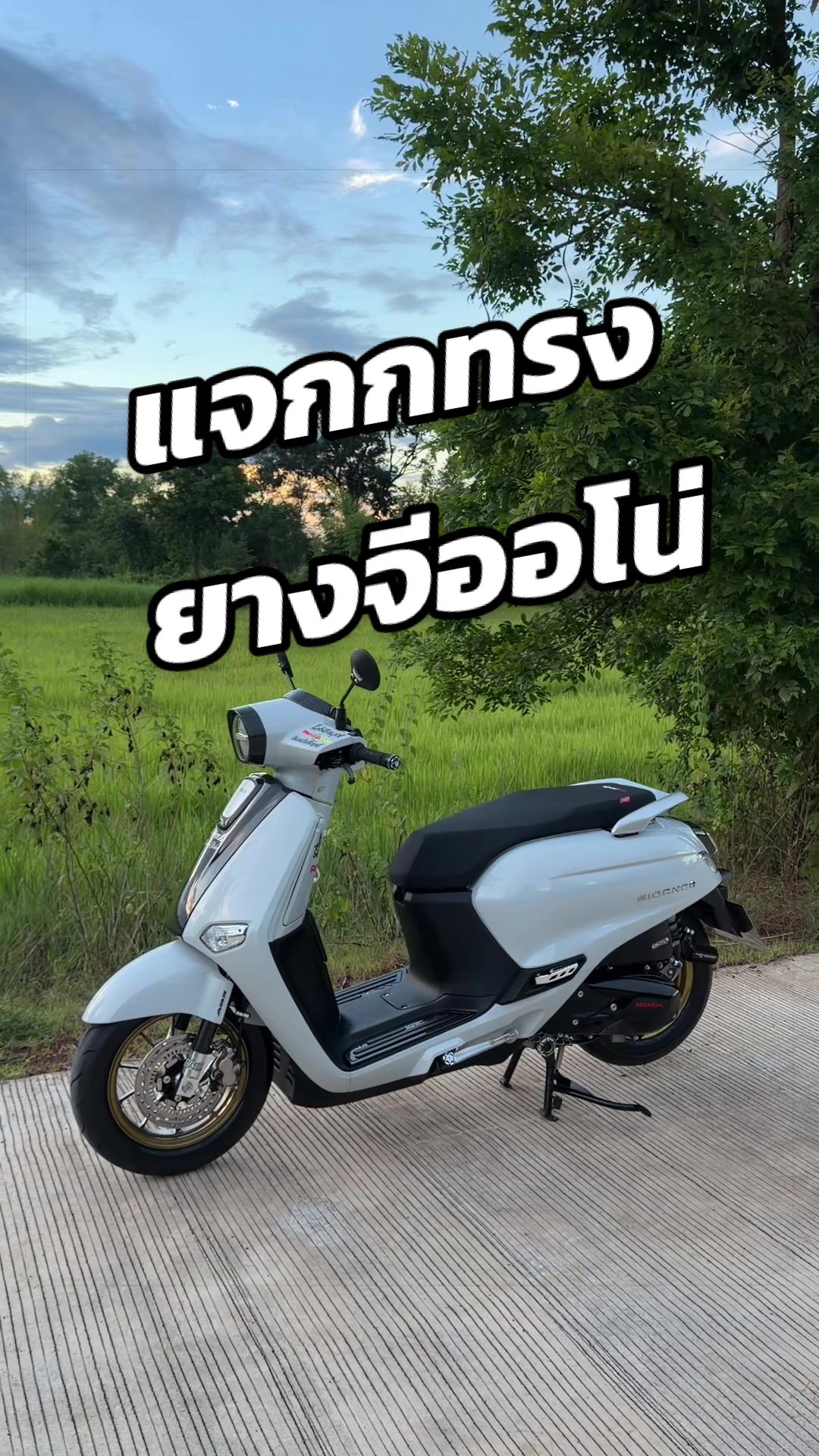 @ณัฐพงศ์(Shop)