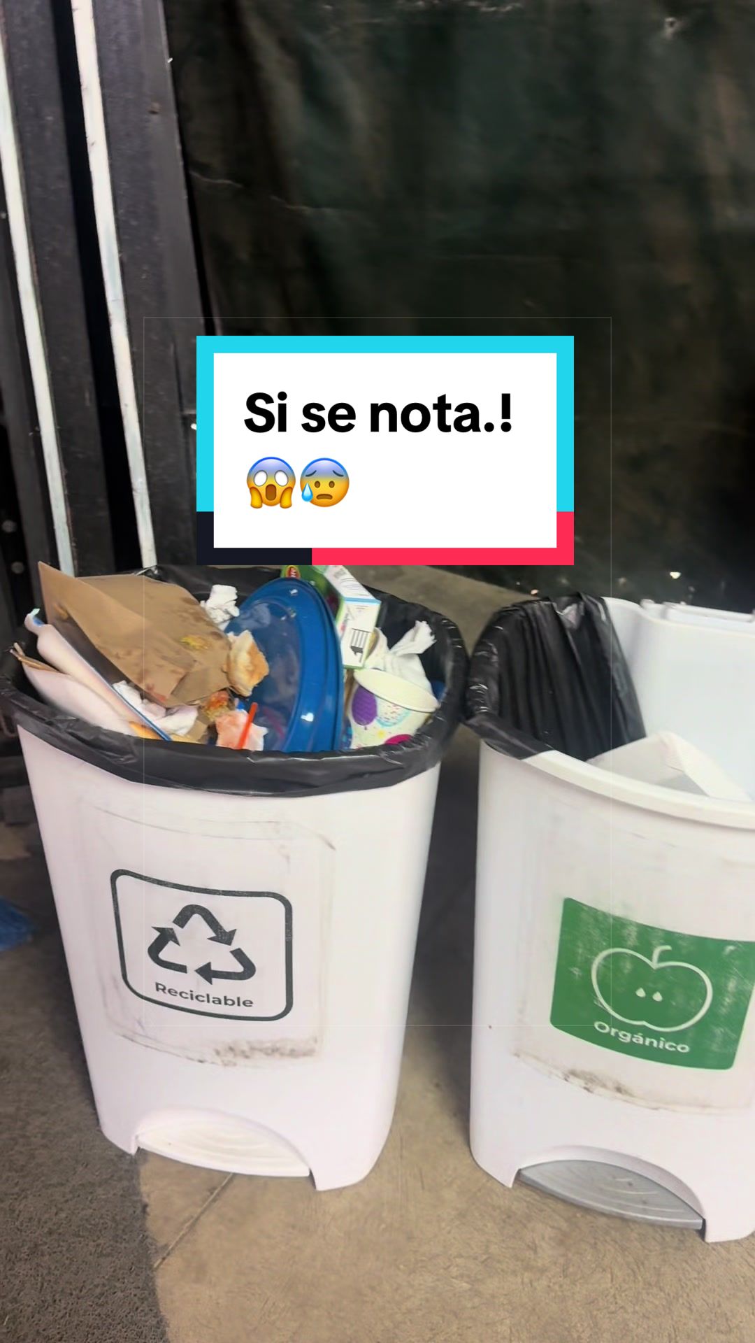 @Isabel Paiz