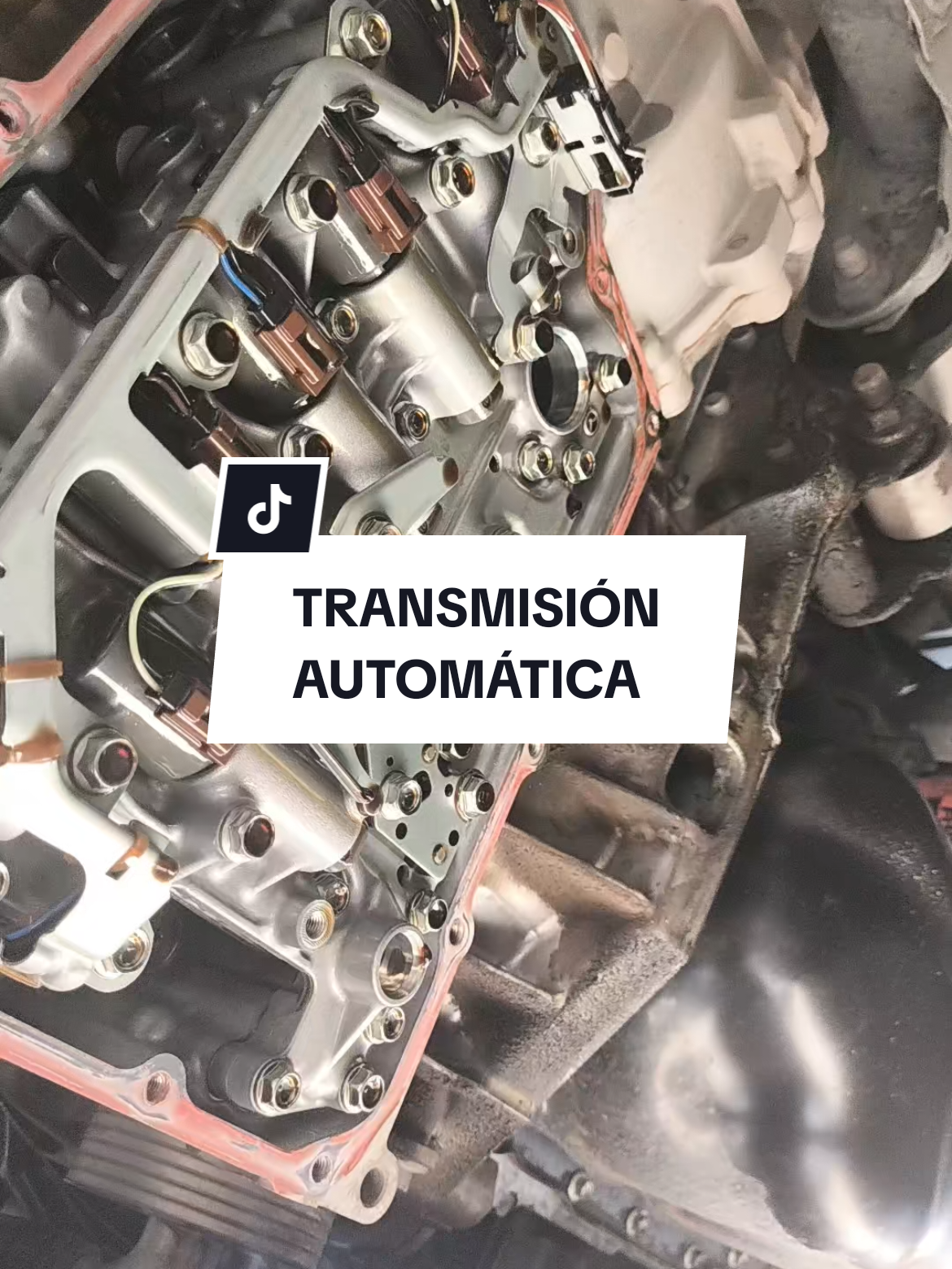 @Grupo T&eacute;cnico Automotriz🇲🇽🌎