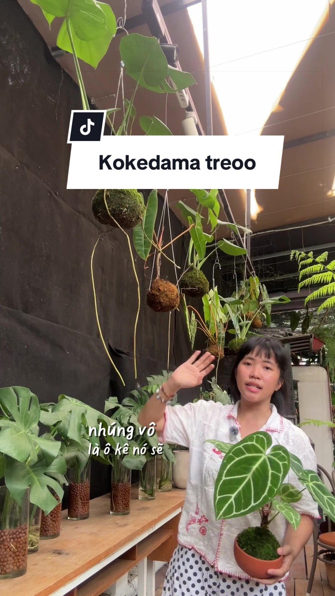 @Vuoncuakien