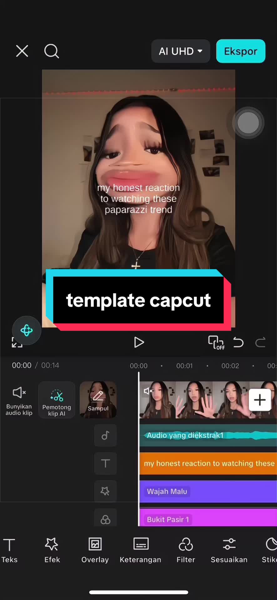 @Vanilla Capcut🎟