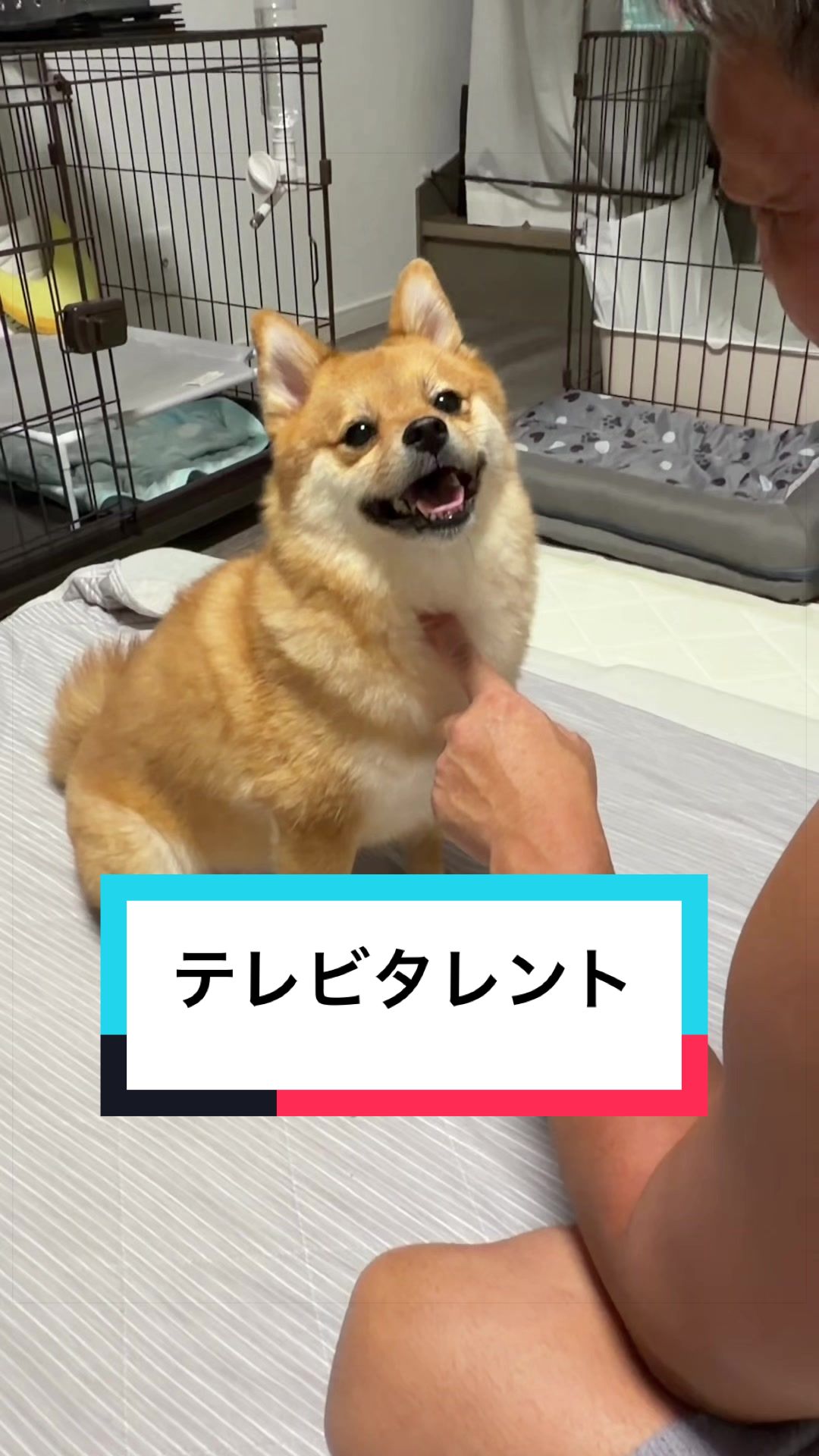 @🐶とん&ぺっぺこぺー🦊