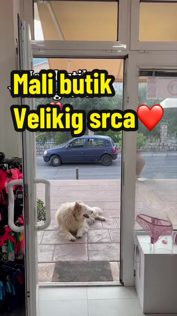 @Maja Kovijanic