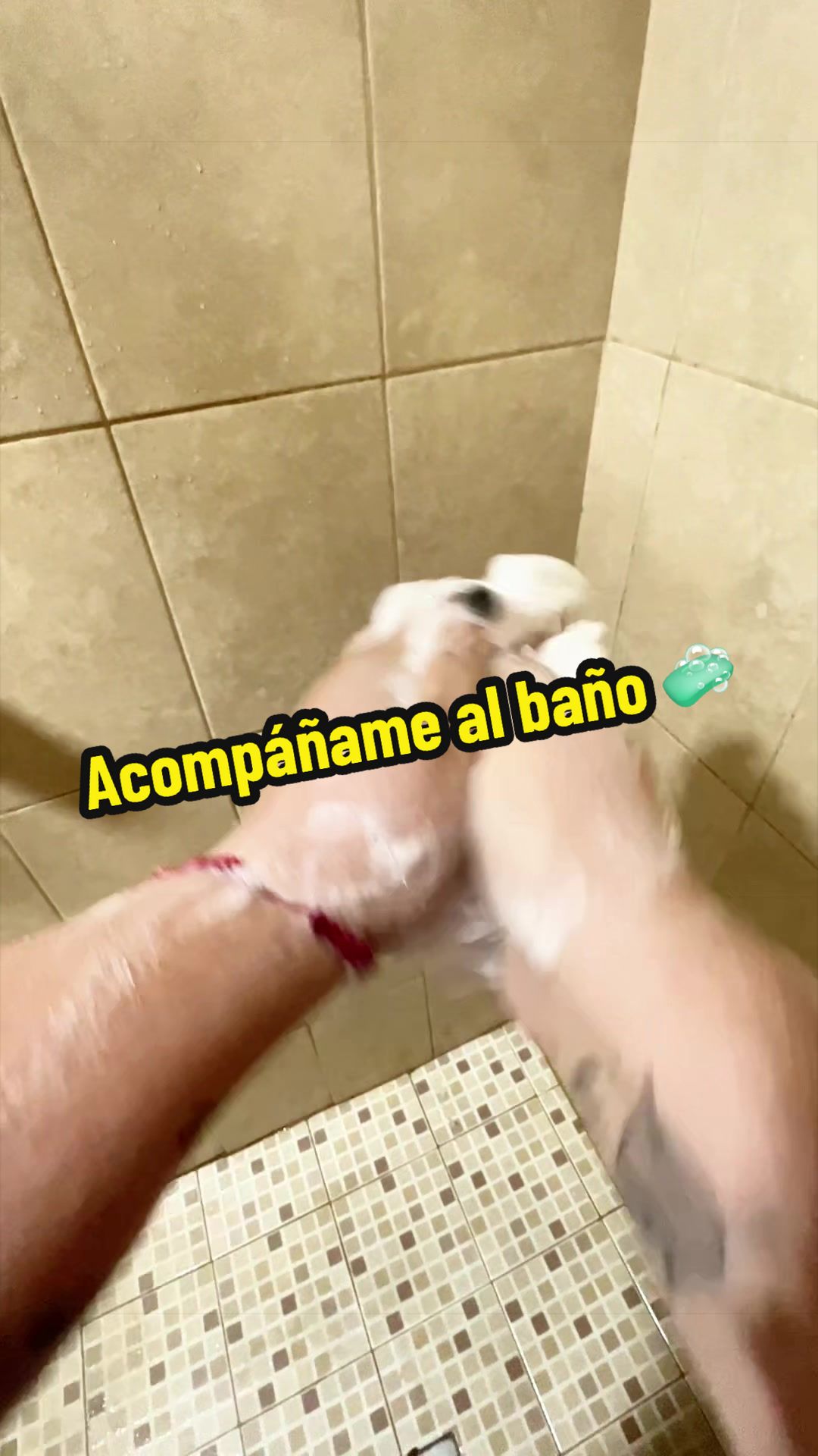 @PamPam Peralta