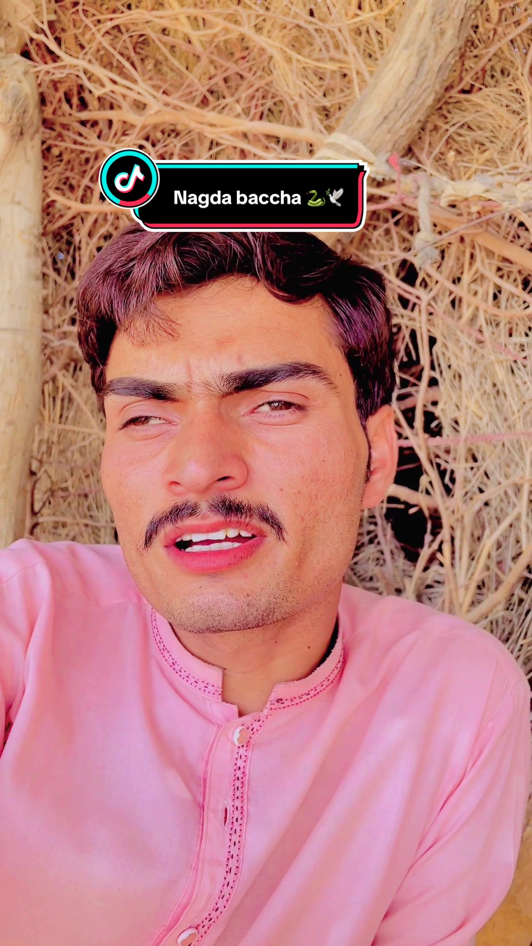 @Wazir Hashim Singer