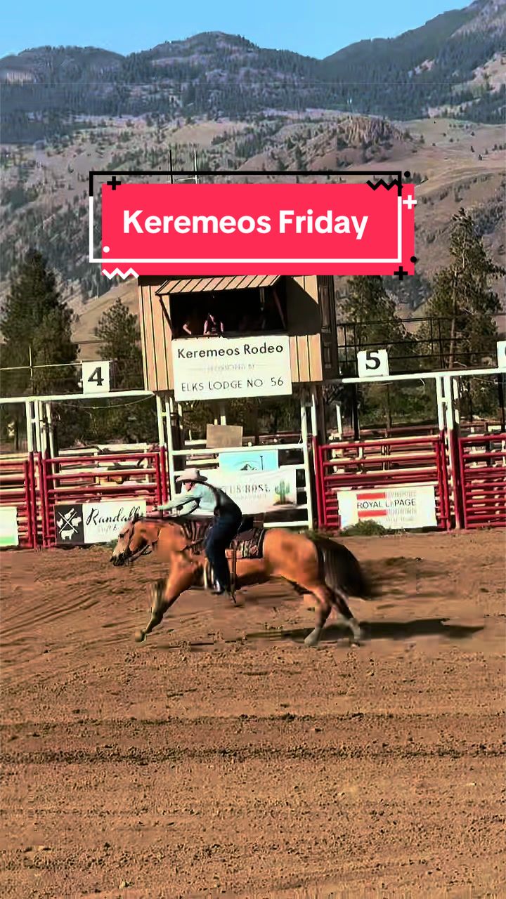 @Diamond W Barrel Horses 🇨🇦