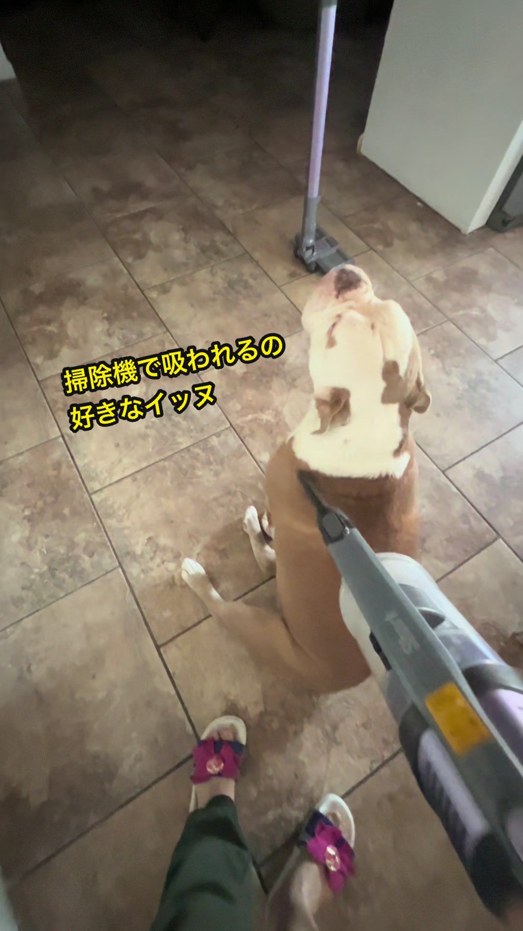 @S家の日常