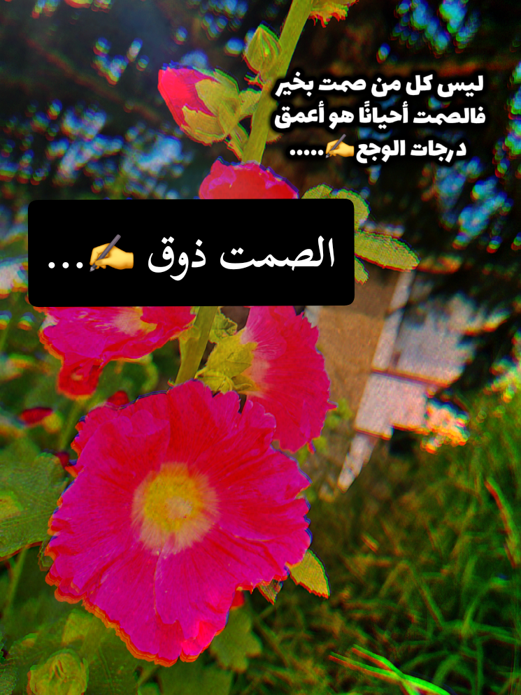 @🍃🌸Tahani Khafas🌸🍃