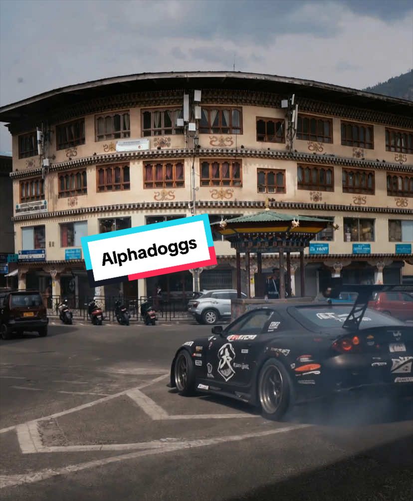 @Alpha Doggs.