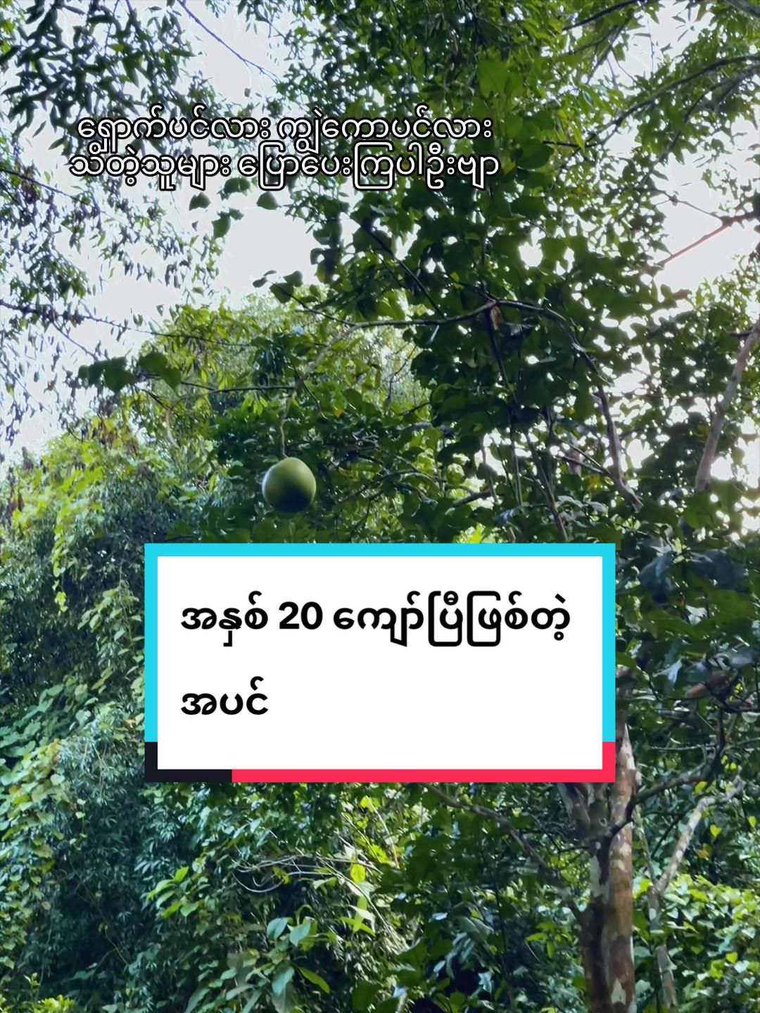 @Thant Zin Htike - Vlog