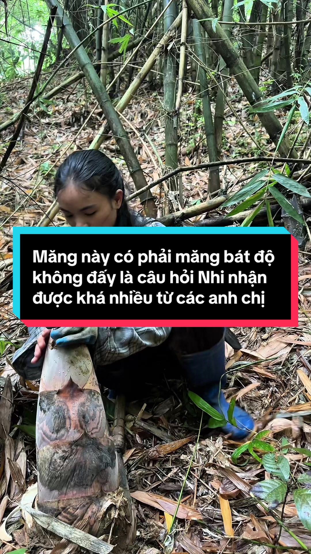 @Nhi Dao Đỏ