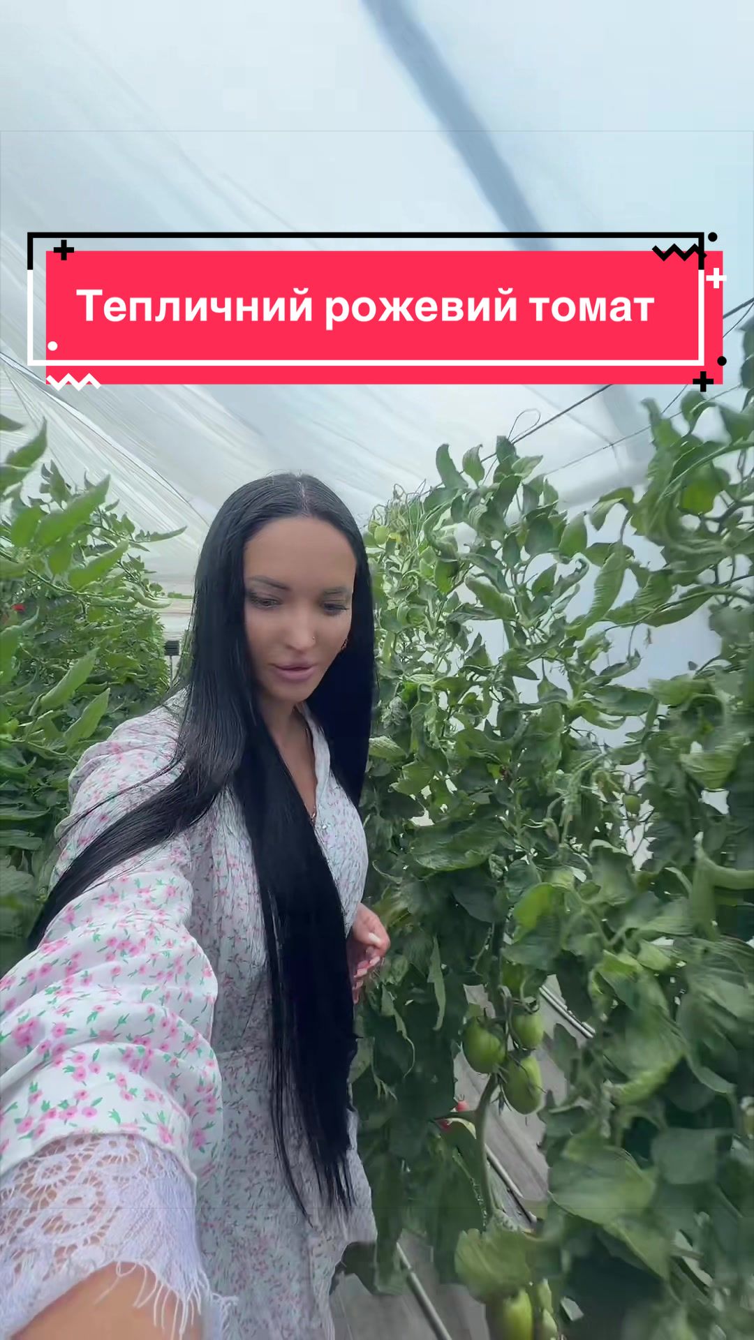 @Золотий Гектар|Насіння,Добрива