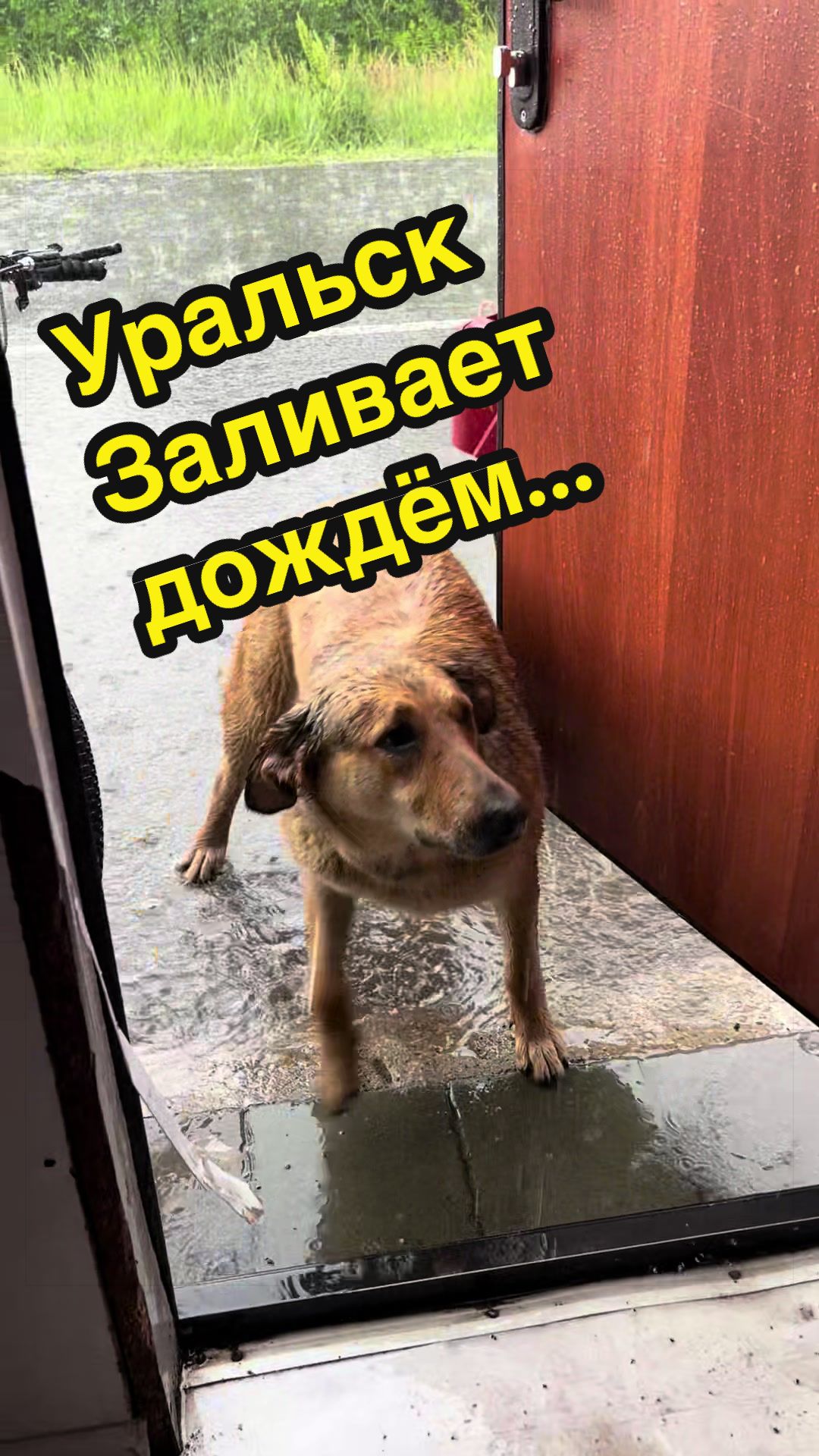 @Уральская Дама