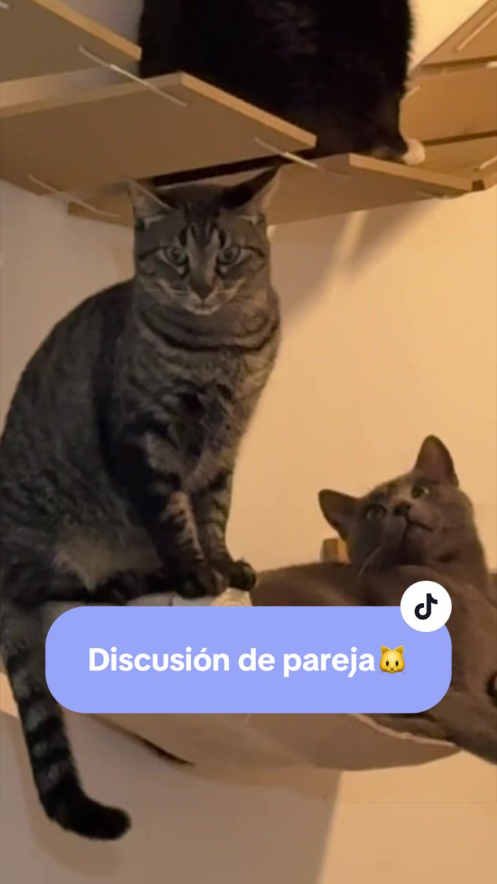 @SABRI