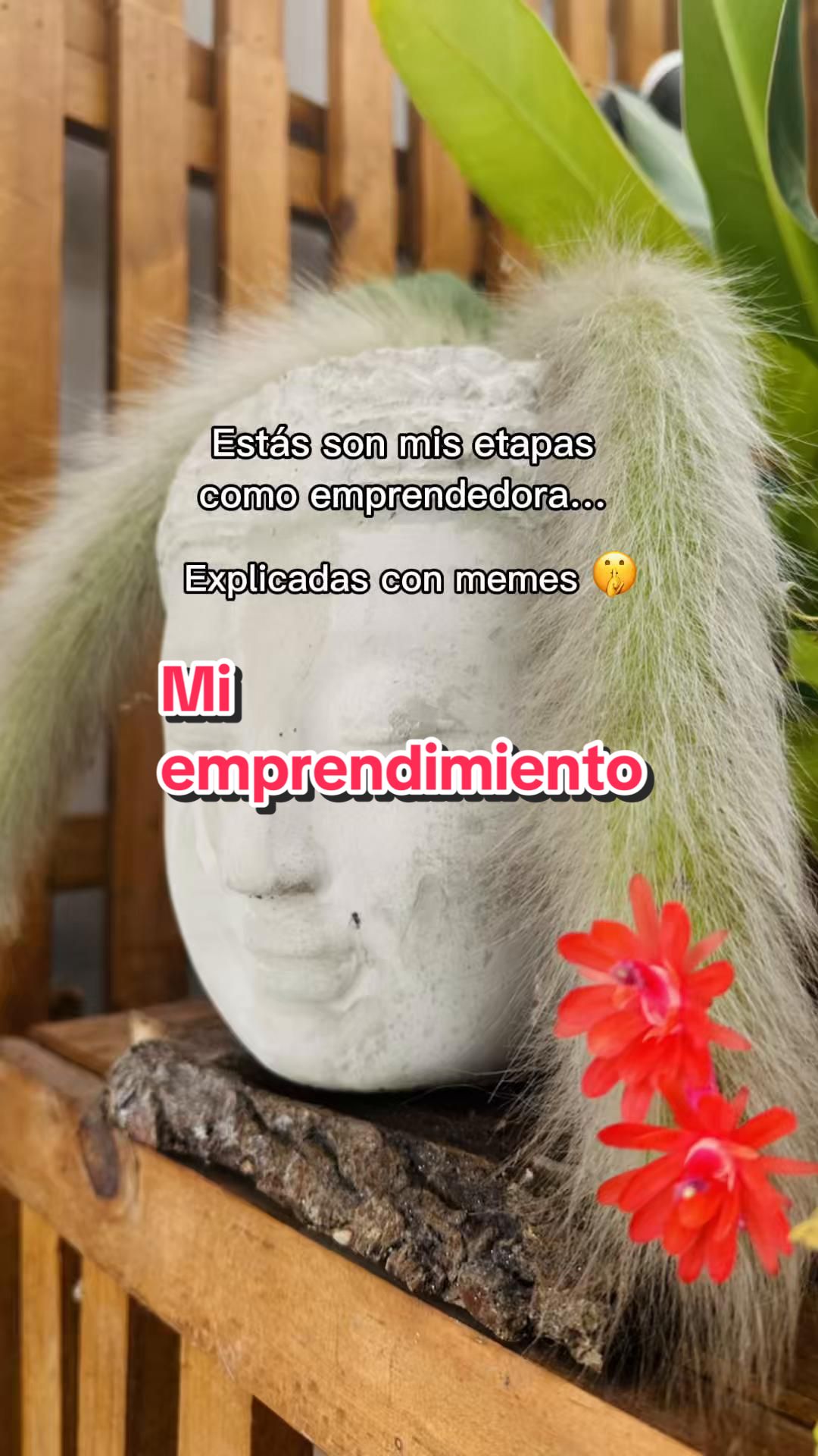 @ENconcreto