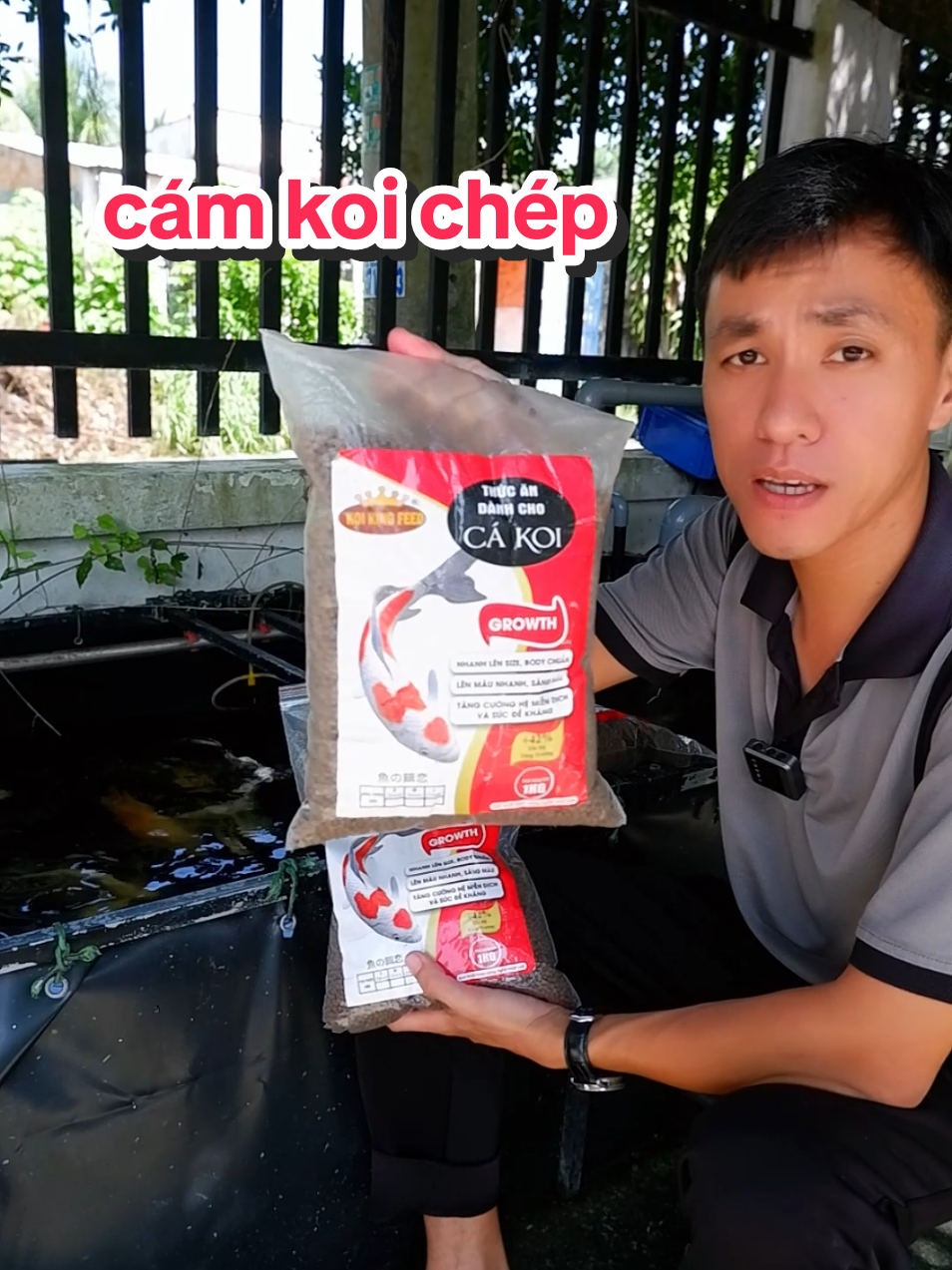 @Ngắm Cá Online