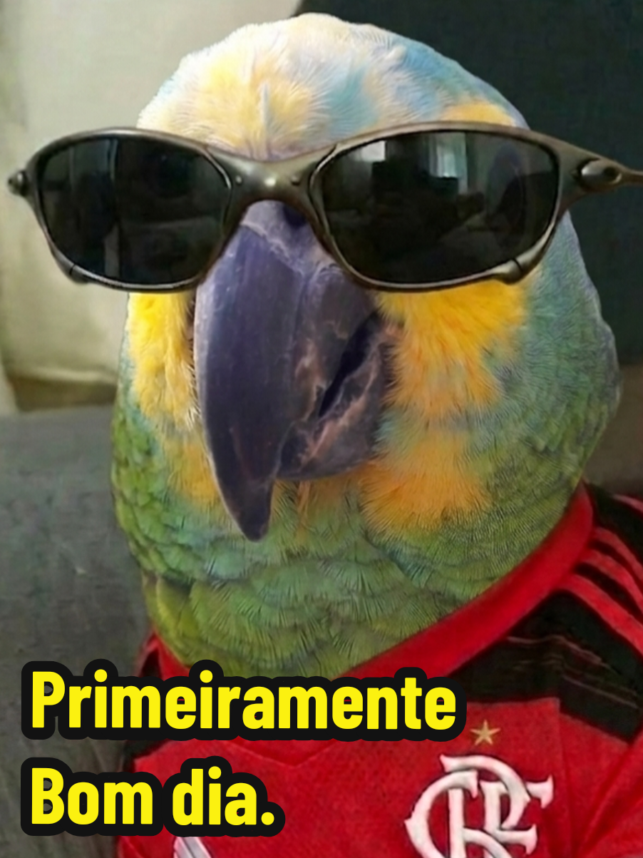@Papagaio Chico🌽🦜