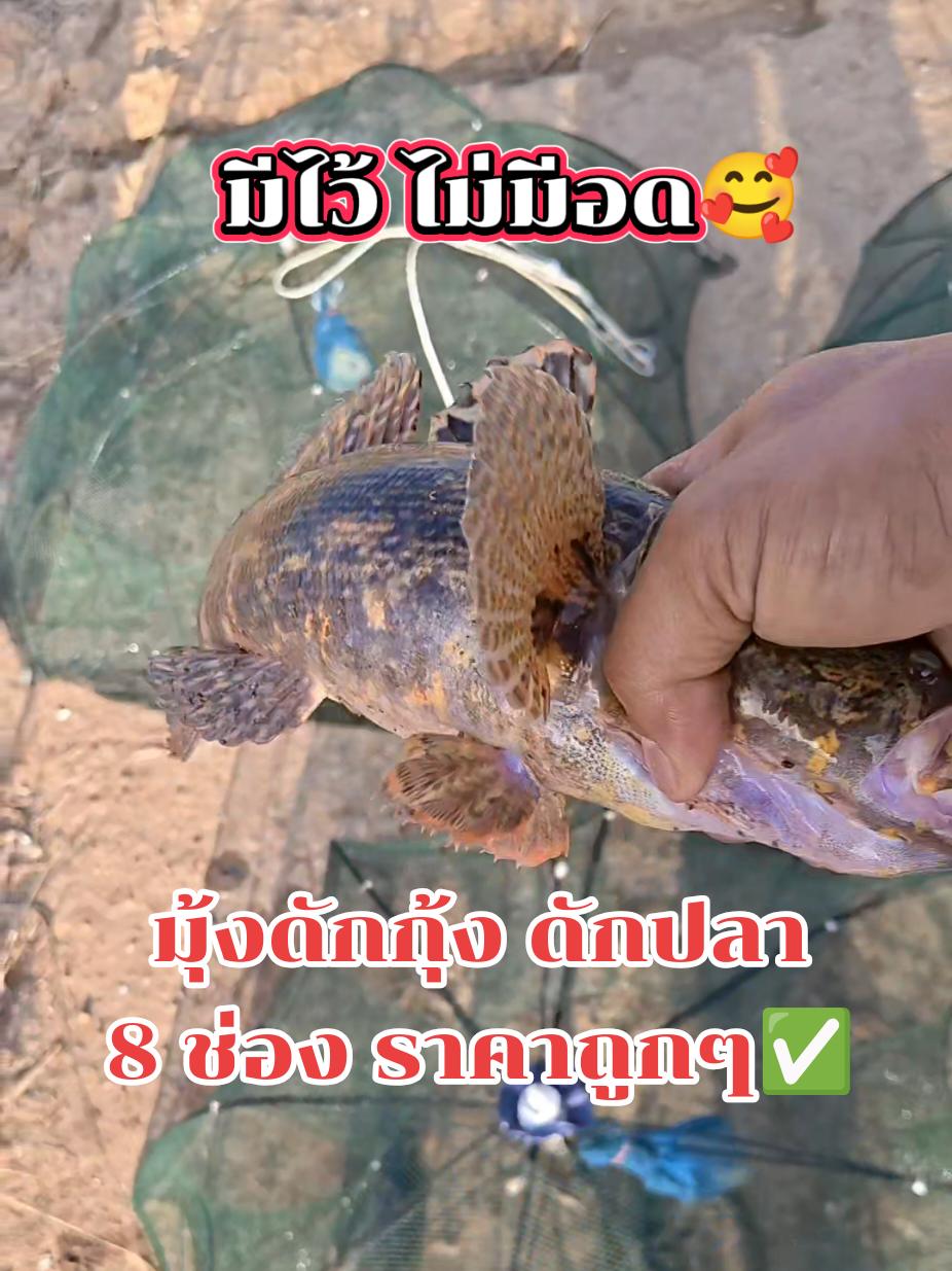 @ล่ำลือ ฟิชชิ่ง ขายทุกอย่าง🥳🎣
