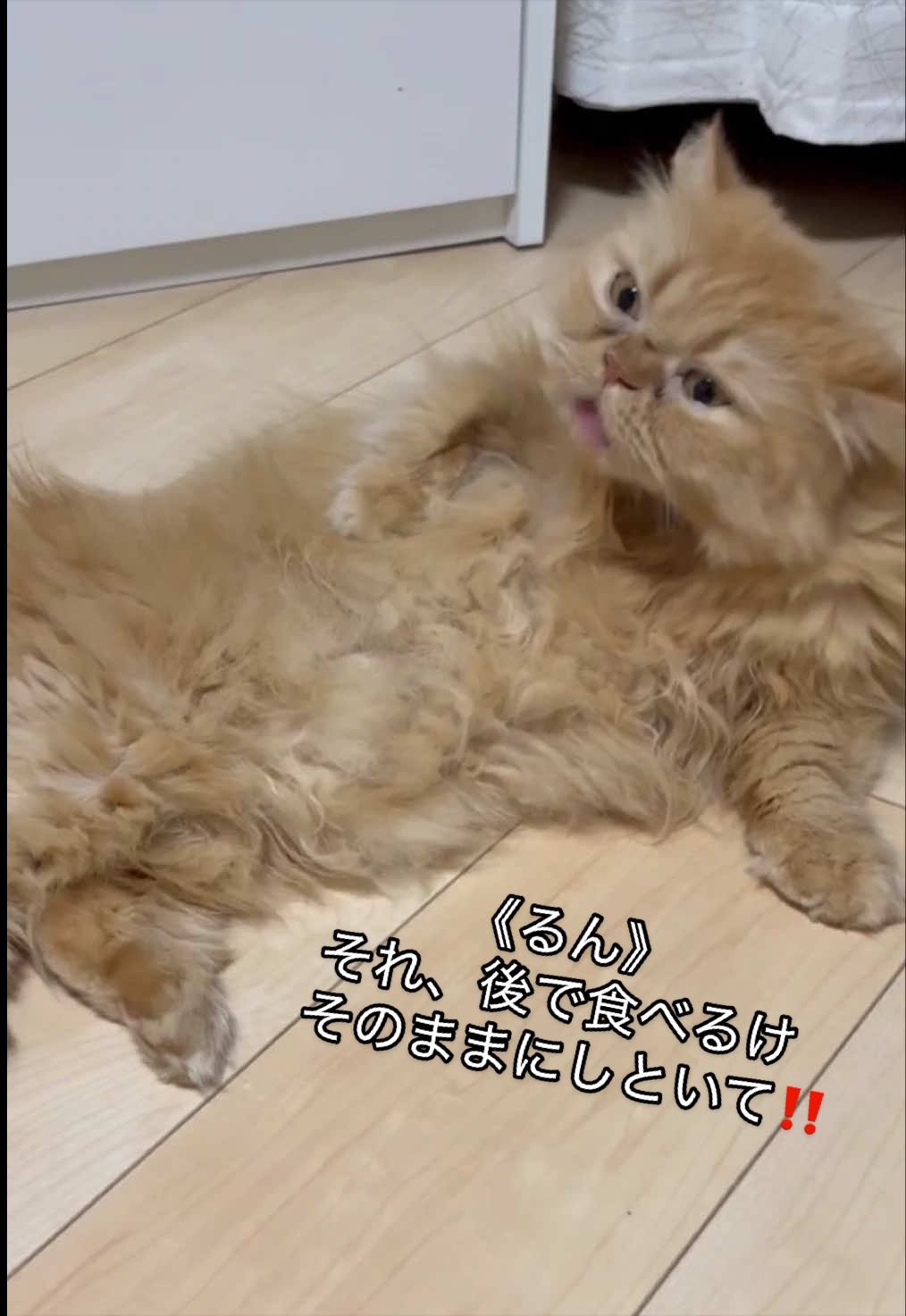 @聴々物語PROJECT