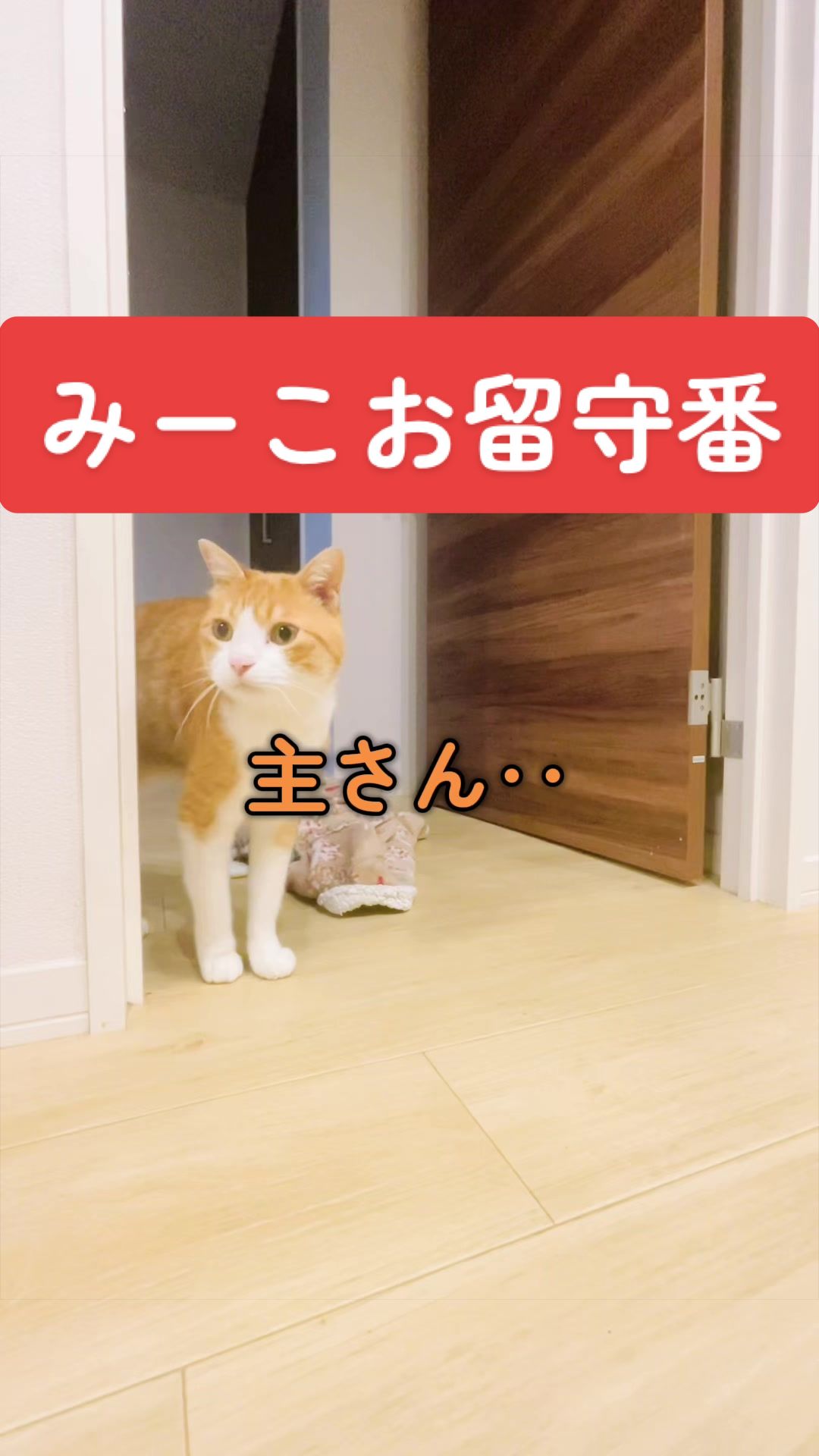 @みーこchannel