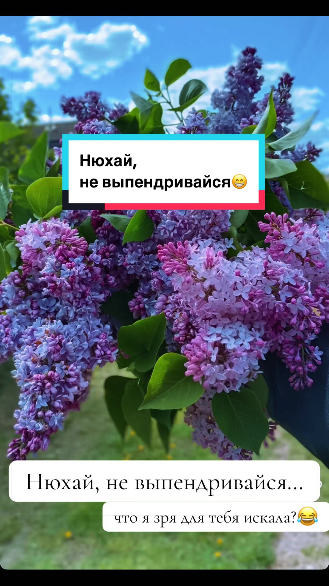 @Katerina