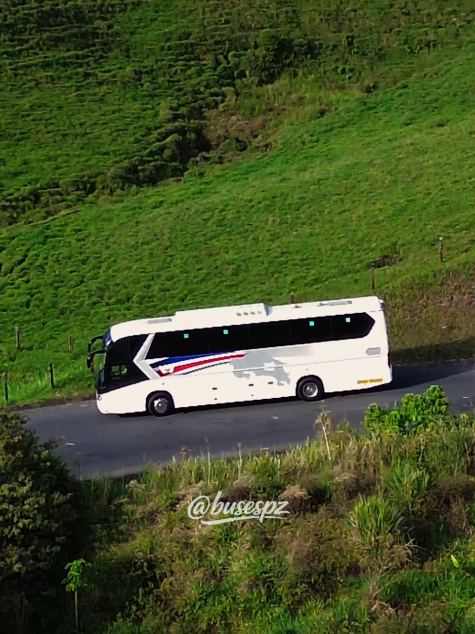 @BUSES PZ | BPZ