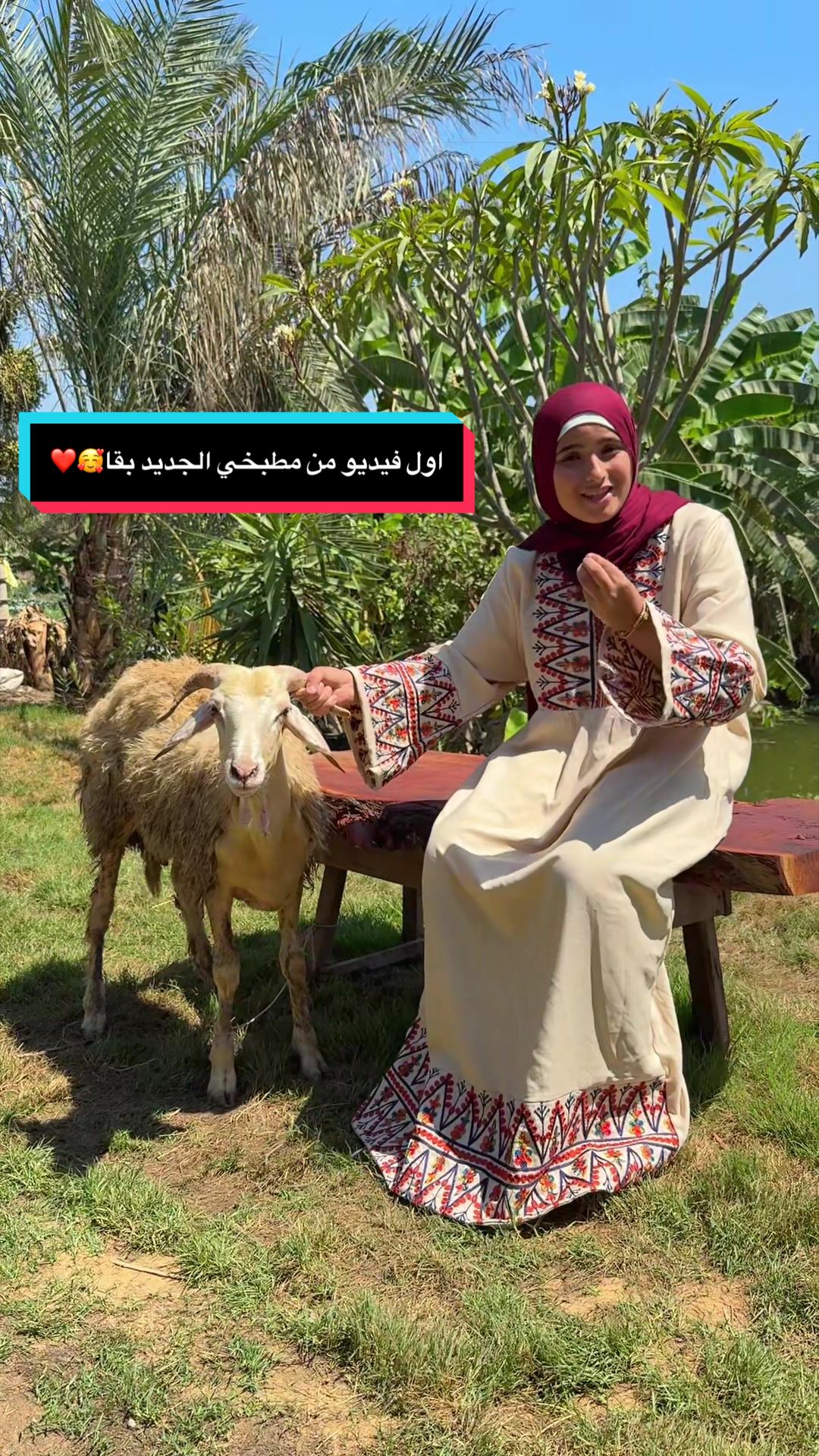 @habiba.baaqa