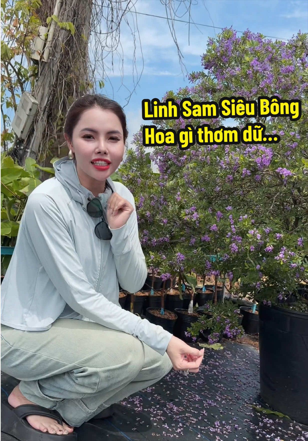 @Tiệm Lá Nhỏ