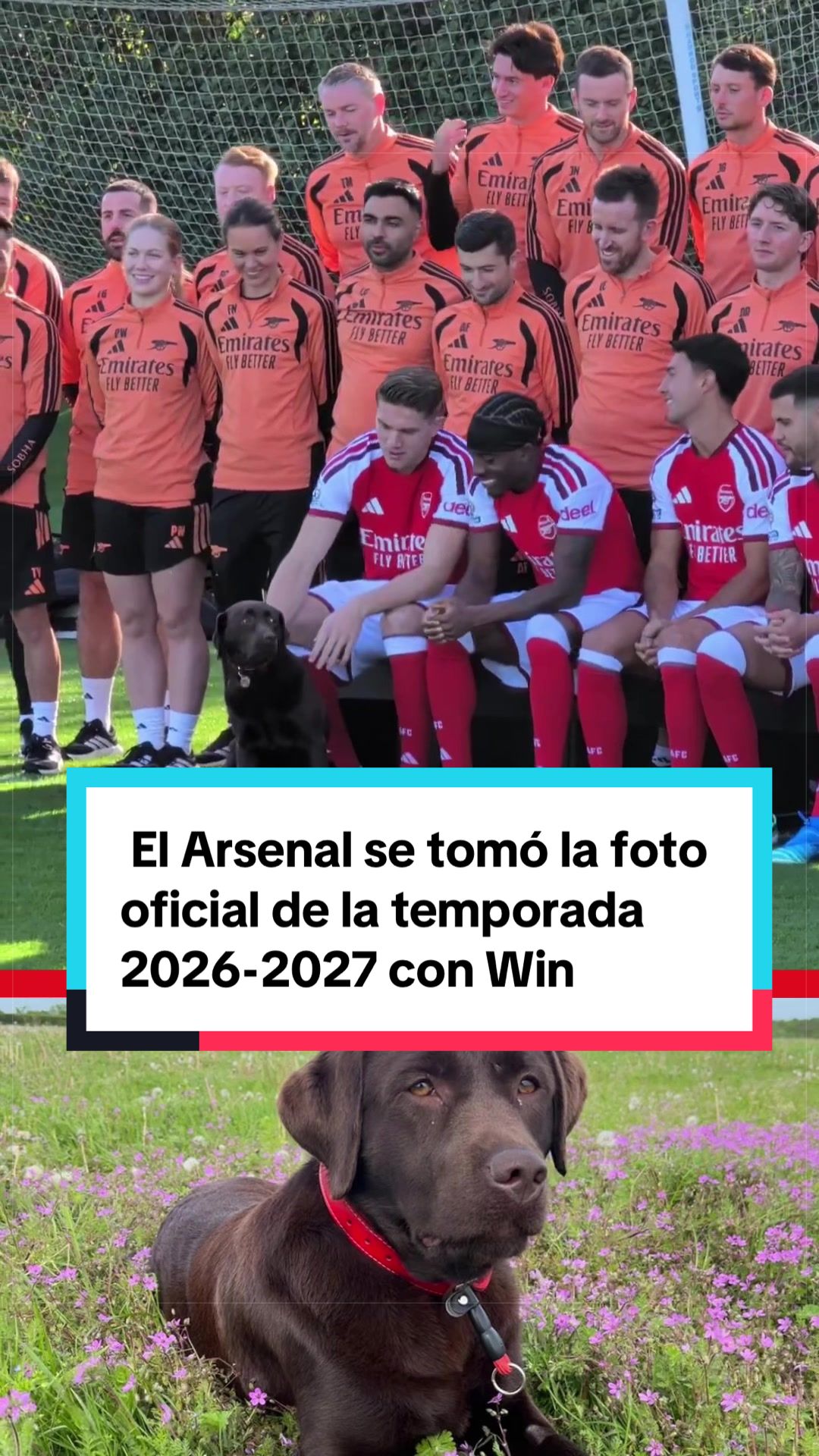 @MARCA México 🇲🇽