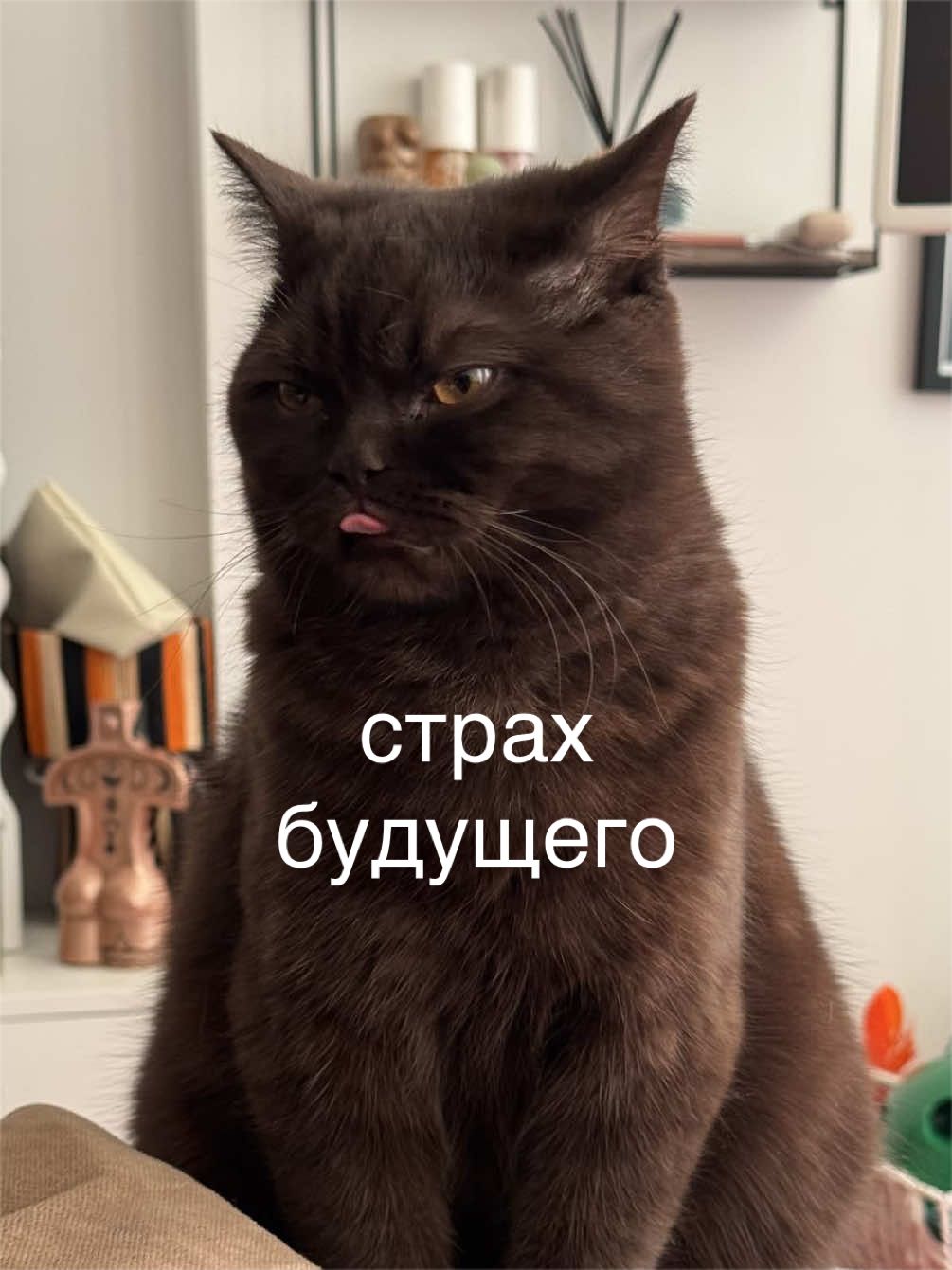 @мамин хep