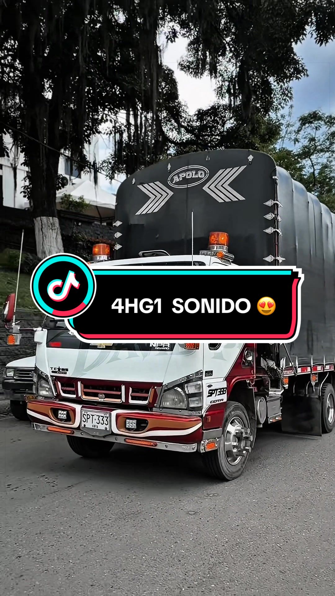 @๐๐ฎ๐๐ถ๐ฑ ๐ฃ๐ ๏ฃฟ