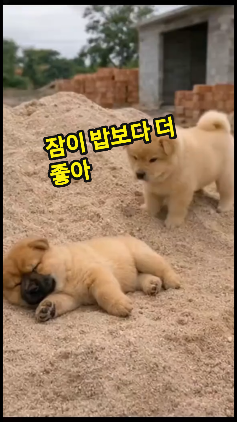 @보통남자