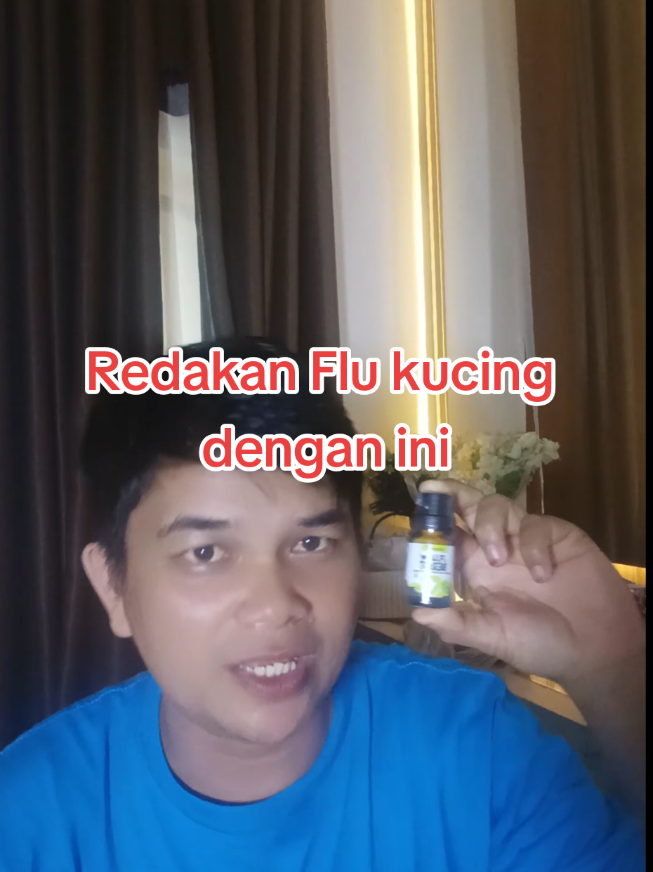 @Medayo Petcare