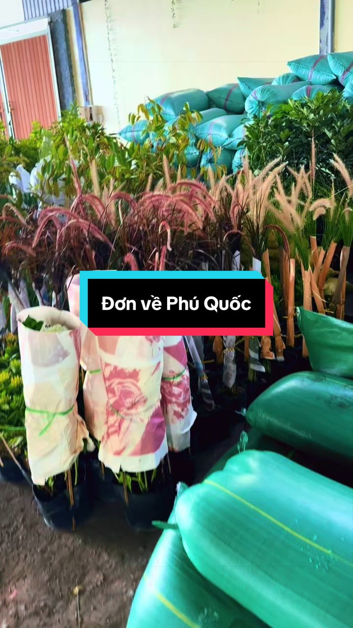 @Tiệm Lá Nhỏ