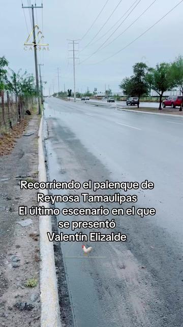 @carsal_jr