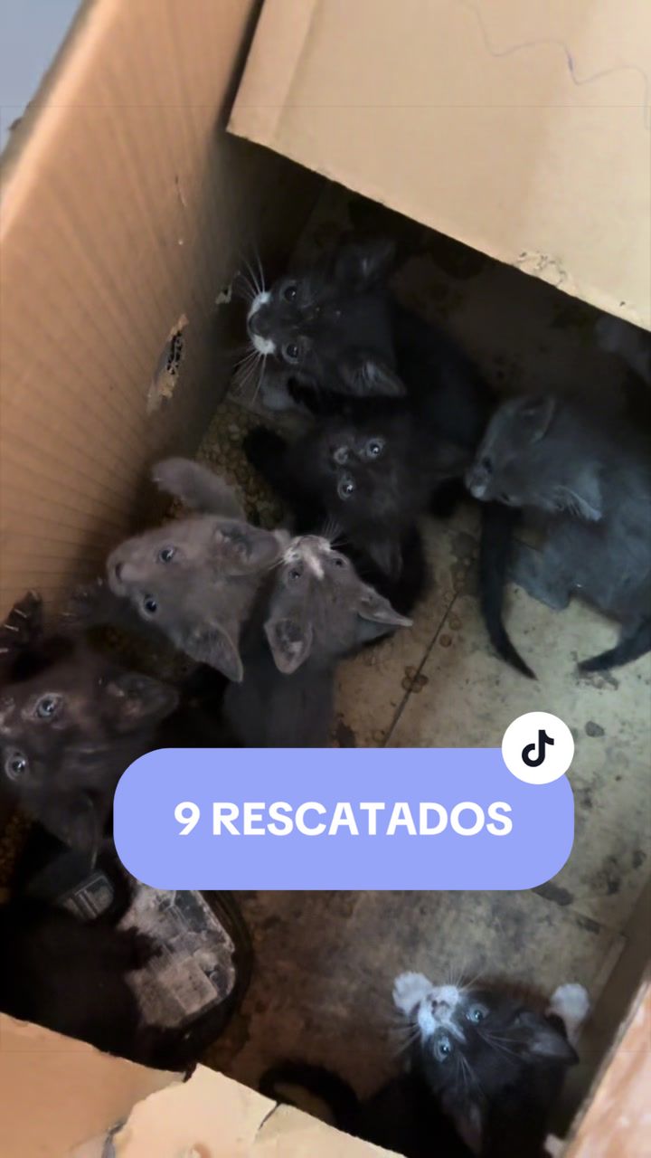 @SABRI