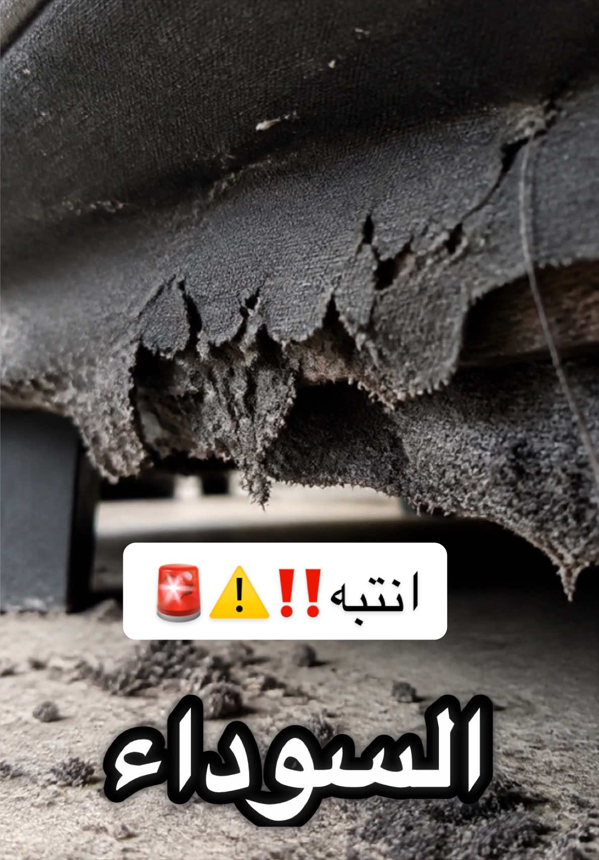 @رائد باشا🧑🏻&zwj;🎨