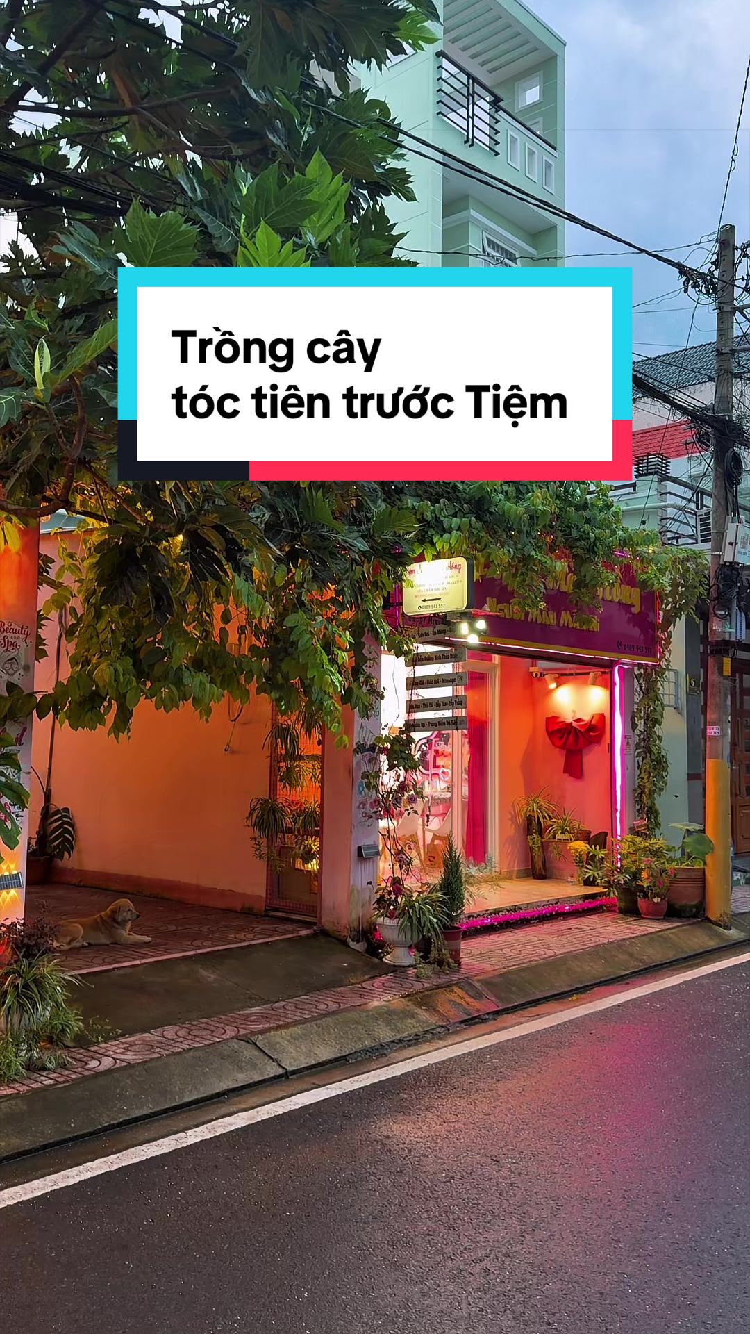 @AndyTrần c&oacute; c&aacute;i SPA 🏝️ 🤓 ☘️