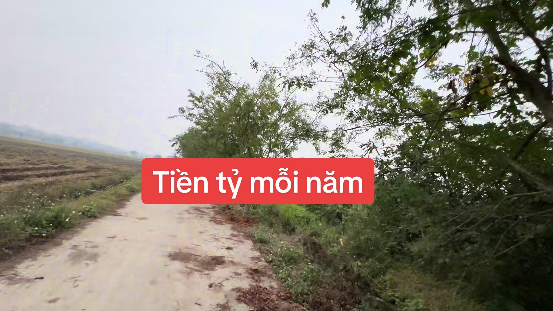 @Nh&agrave; Vườn Vũ Mai